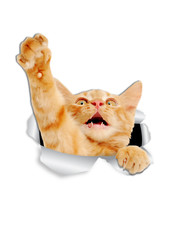 Autoaufkleber Spielt