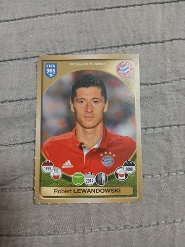 Panini sticker robert - panini,