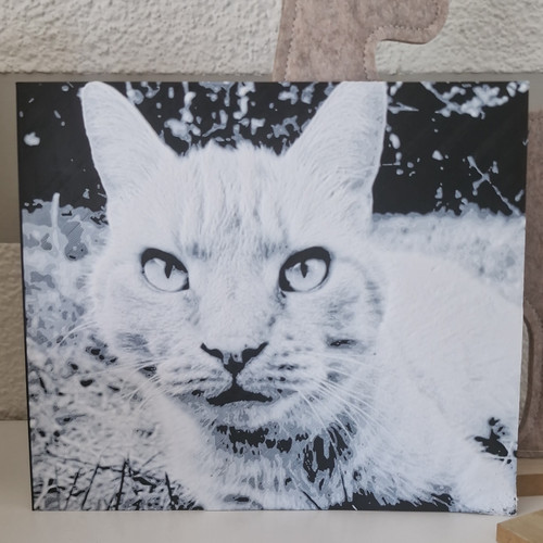 Personalisiertes wandbild - personalisiertes,