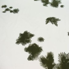 2Wahl Bundeswehr Schnee