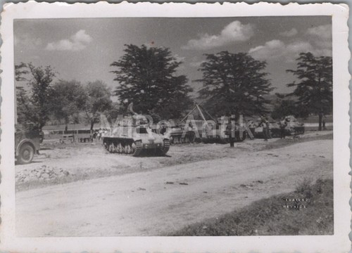 Foto blick auf vier - vier, beute