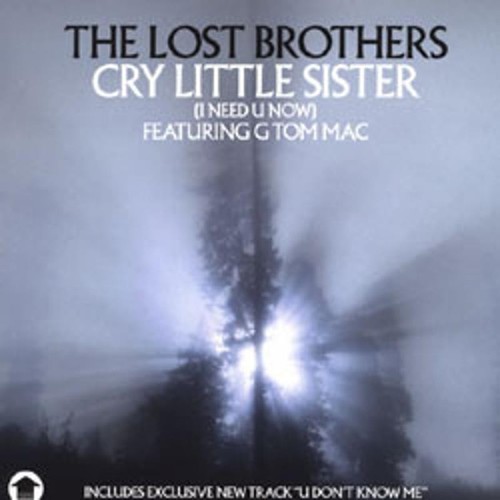 The lost brothers - lost,