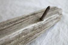 Schwemmholz Treibholz  Brett L