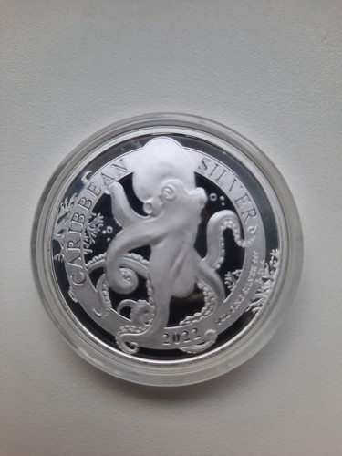 Octopus caribbean silver 1 - caribbean,