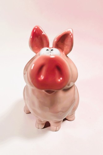 Lustiges sparschwein ferkel - -,
