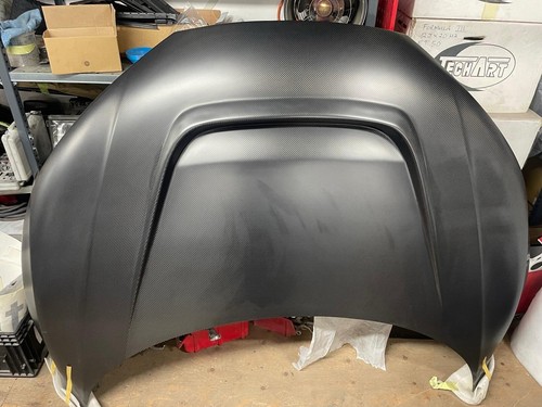 Audi motorhaube voll carbon - r8,
