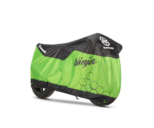 Kawasaki ninja zx - ninja, r