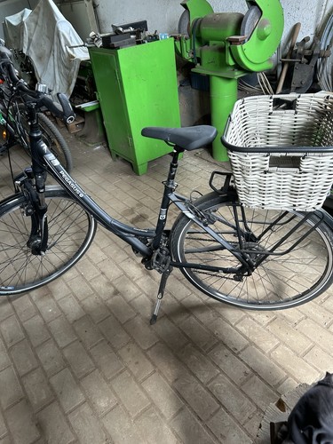 Pegasus damenfahrrad zoll - pegasus,