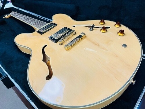 Gitarre epiphone sheraton - e-gitarre, sheraton-ii