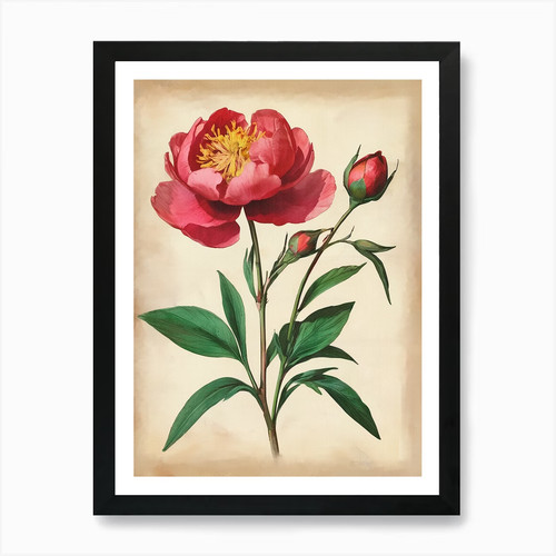 Vintage von herbarium - vintage,