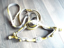 Set Hunter Geschirr und Leine XS