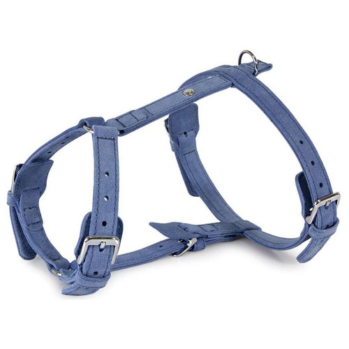 Das lederband hunde geschirr - das,