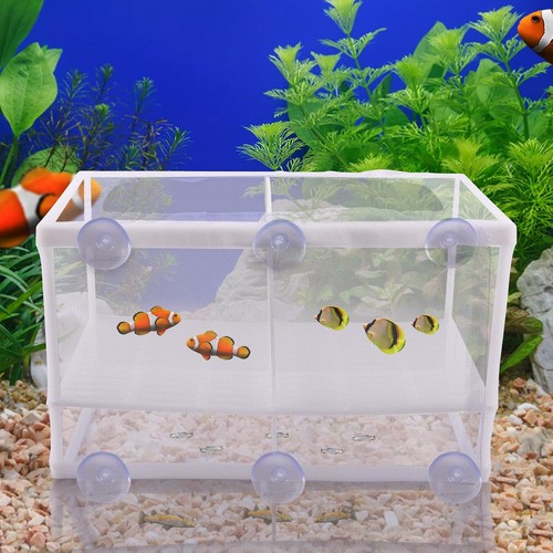 Aufzuchtbecken aquarium mit - aufzuchtbecken,