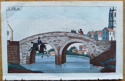 Pferde wilhelm - -,