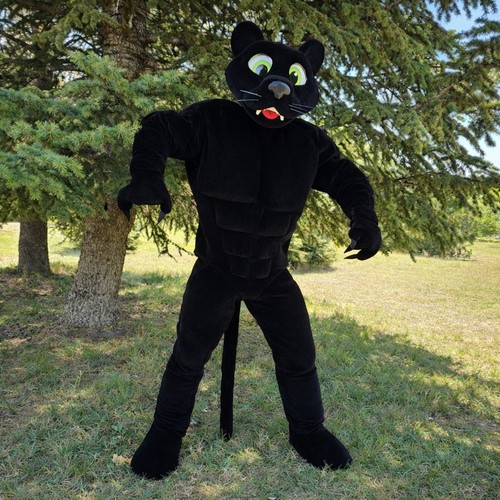 Black panther mascot costume - black,