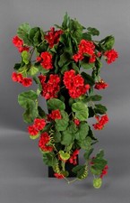 Geranienhänger 70cm rot ZF