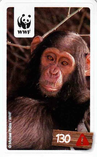 Rewe wwf tier abenteuer - rewe,