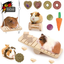 Hamster Spielzeug Knabberset