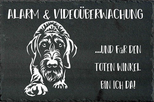 Deutsch drahthaar - deutsch,