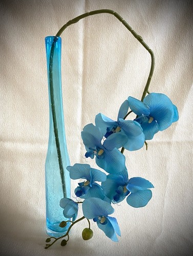 Flaschenvase mit orchidee - mit, blau