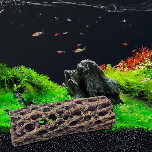 Aquarium dekoration rasthaus - aquarium-dekoration,,