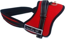 Hundegeschirr Pet dog Senior