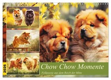 Chow Chow Momente. Fellpoesie