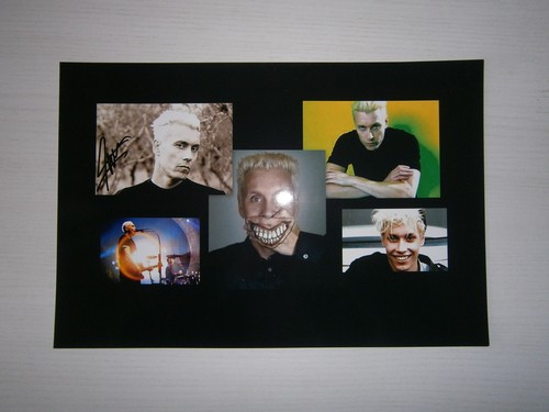 Farin urlaub collage - ██,