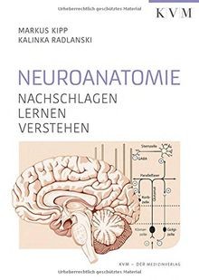 Neuroanatomie nachschlagen - neuroanatomie:,