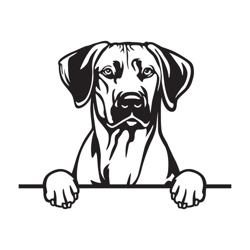 Autoaufkleber sticker - autoaufkleber, /