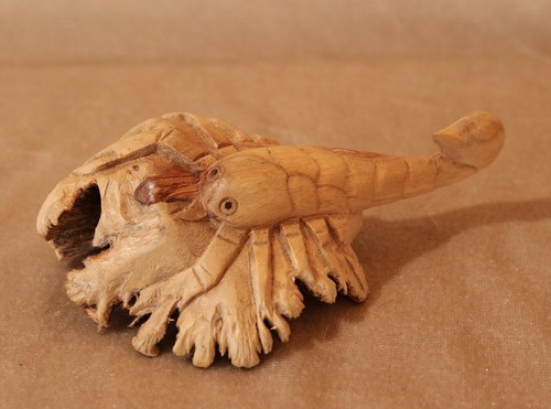 Holz skorpion auf - skorpion, wurzel