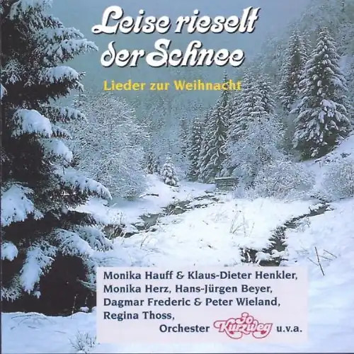 Various leise rieselt - various, der