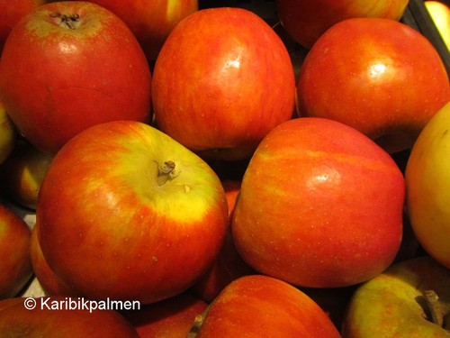 Apfelbaum cox orange renette - orange',