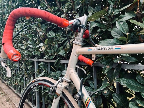 Gazelle champion - ⚡️gazelle,