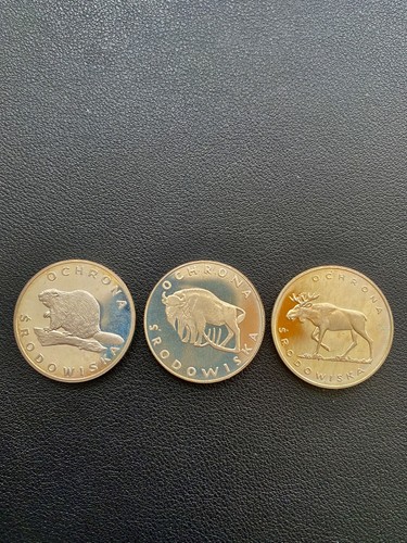 100 zl silbermünzw - zl,