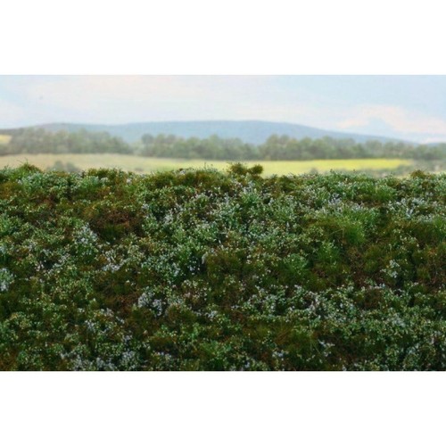 Grasmatte mit blaubeeren - mit,