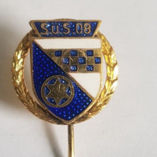 Anstecknadel Ehrennadel SuS