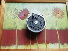 Winterharter Marquis Lachs Nr