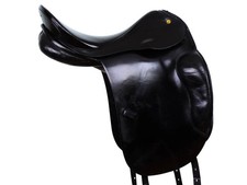 Prestige Appaloosa Dressage