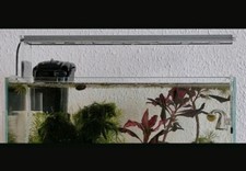 Aquarium Lampe von Twin Star 45 cm