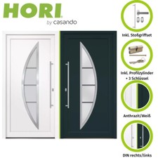 HORI Kunststoff Haustür Curve