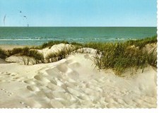 Ansichtskarte beschrieben Spiekeroog Dünenlandschaft Stempel Spiekeroog 1970
