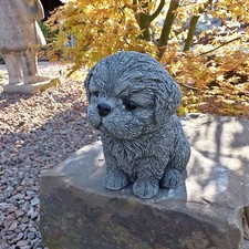 Steinfigur Hund Shih Tzu