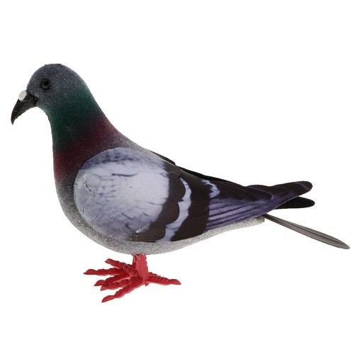 Tiermodell taubenmodell - tiermodell,,