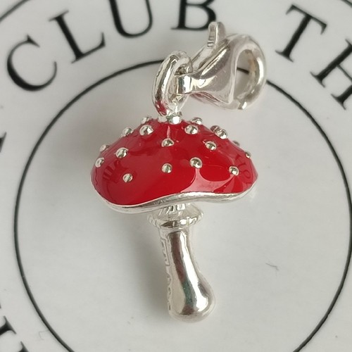 Thomas sabo charm anhänger - thomas, charm-anhänger