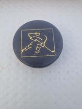 Eishockey Puck