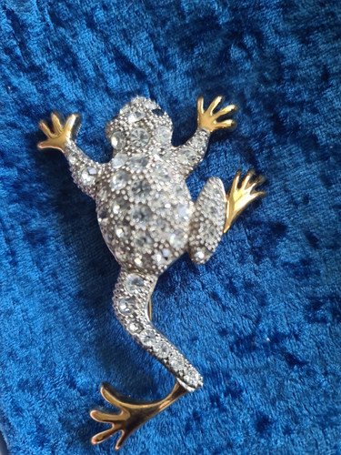 Anstecker frosch von senso - -,
