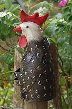 Zaunhocker Huhn Hahn Henne
