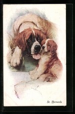 St. Bernards, Bernhardiner-Mutter leckt ihren Welpen, Ansichtskarte 1928 