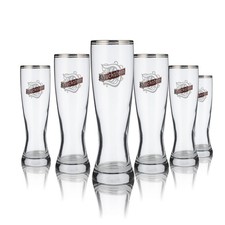 6x Duckstein Glas Bierglas